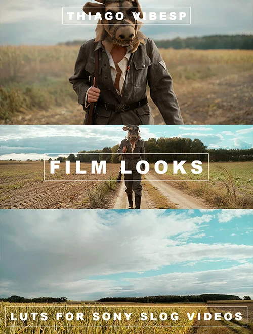 Thiago Vibesp - Premium Sony S-Log LUTs Collection скачать