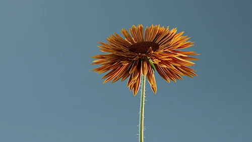 Flower Generator скачать