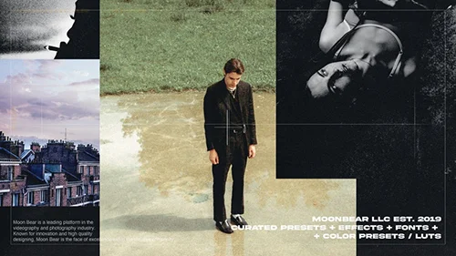 Moon Bear - Requisite Presets скачать