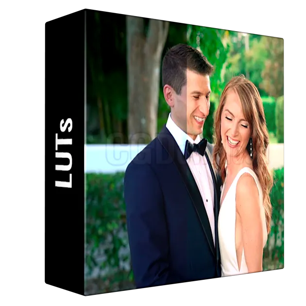 Goodlight Presets – Video Lut Pack 1