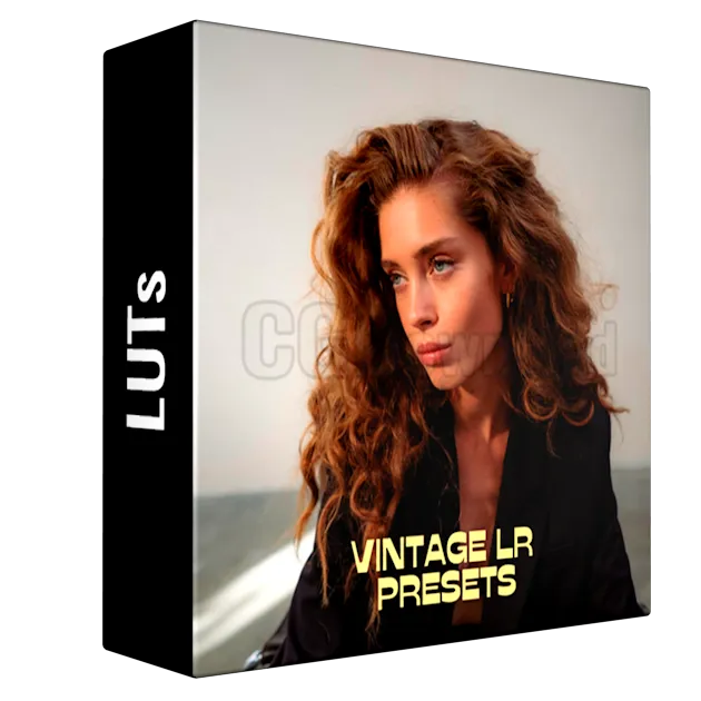 EVA GLASBEEK - Vintage LR Presets