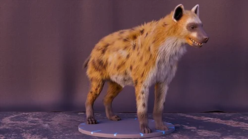 Hyena groom techniques in Houdini скачать