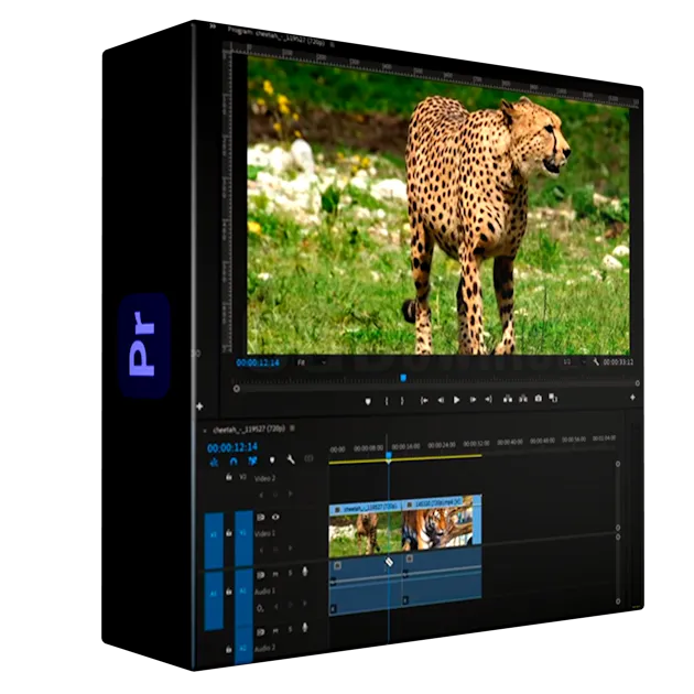 Adobe Premiere Pro 101: Learn Editing, Effects & Transitions