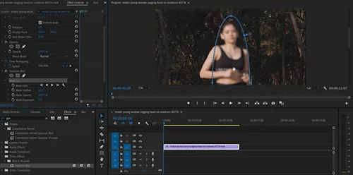 Adobe Premiere Pro 2025 Mega Course скачать