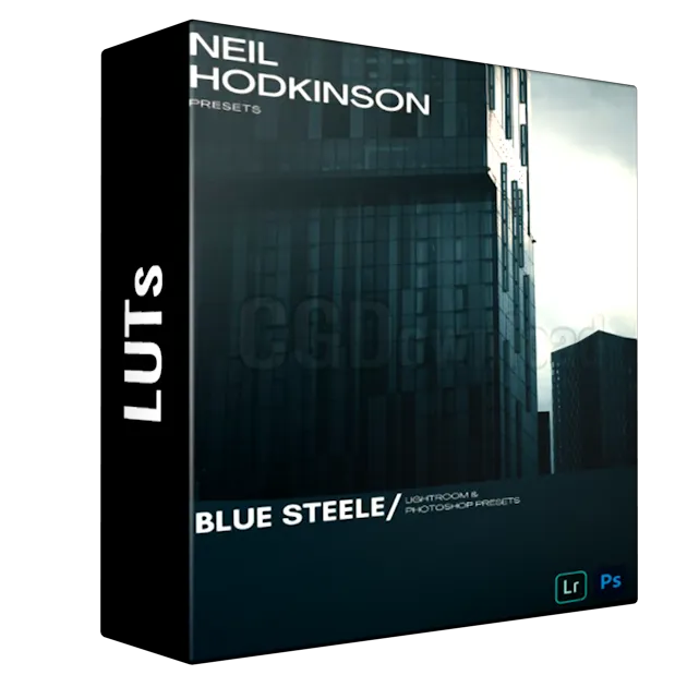Neil Hodkinson - Blue Steele