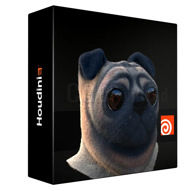 Grooming Of Pug In Houdini