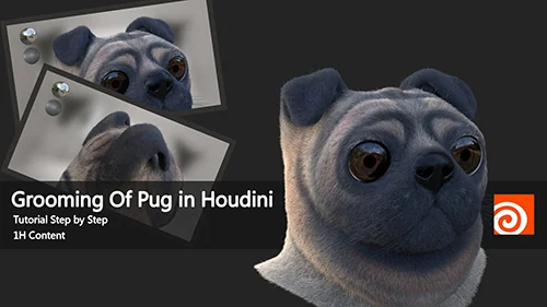 Grooming Of Pug In Houdini скачать