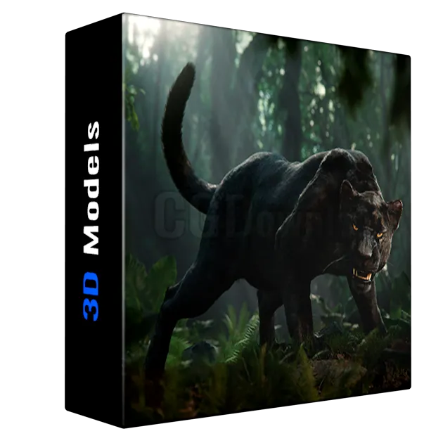 VFX Grace - Black Jaguar