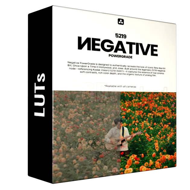 Loris Marie - Negative Powergrade for Davinci