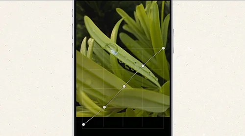 iPhone 17 Pro Camera Setup 7 Settings That Make a Big Difference скачать