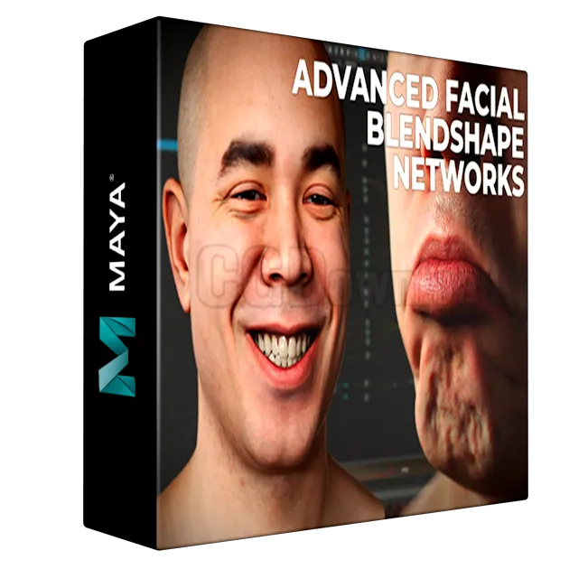 Advanced Facial Blendshape Networks