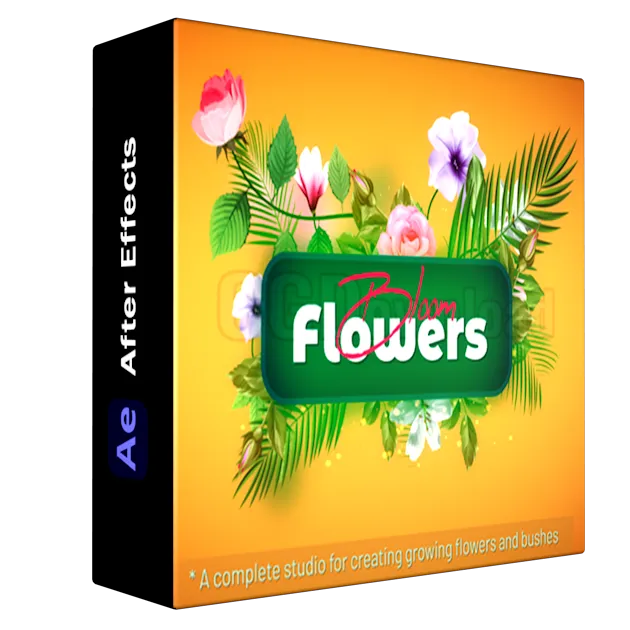Flowers Bloom