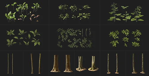 Megascans - BroadLeaf Forest (3D Fbx + Surfaces+plants) скачать