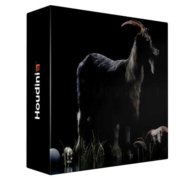 The Gnomon Workshop – Vellum Hair Simulation in Houdini