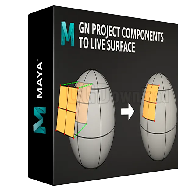 GN Project Components To Live Surface