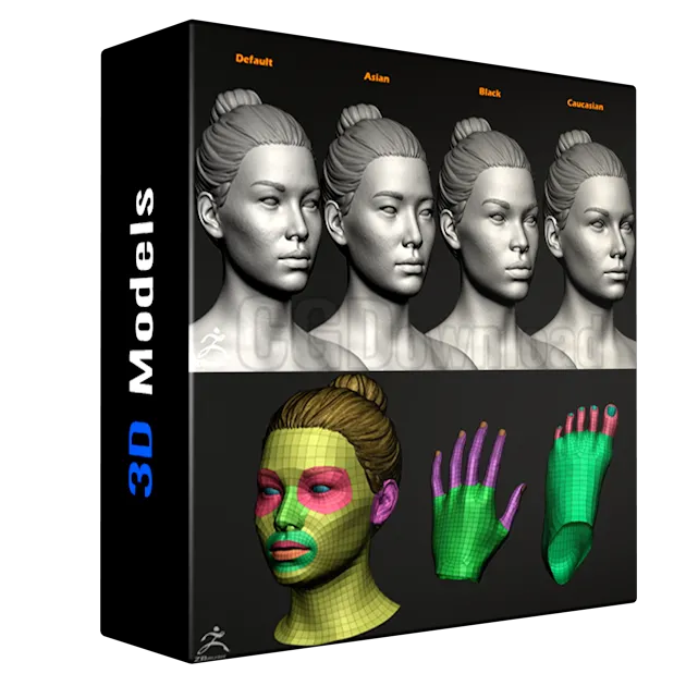 FlippedNormals - Female Custom Basemesh