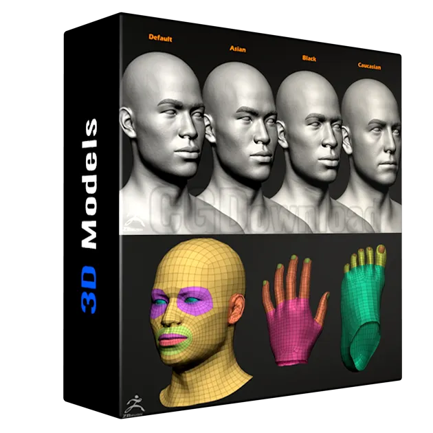 FlippedNormals - Male Custom Basemesh