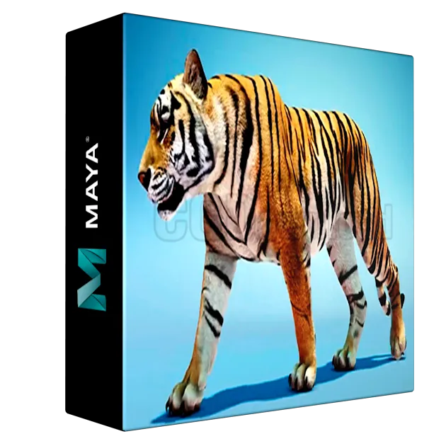 How to Animate a Tiger Walk Cycle in Maya