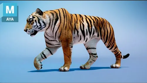 How to Animate a Tiger Walk Cycle in Maya скачать