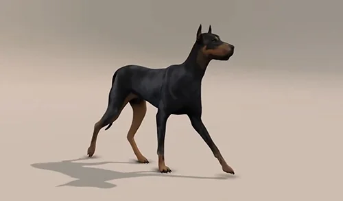 Sophoria Academy - Dog Walk And Run Cycle скачать