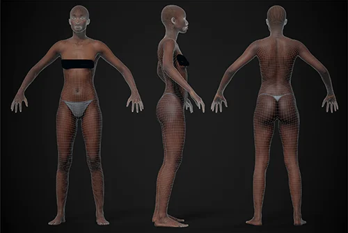 Animation Ready Body Scan - Female 03 качать