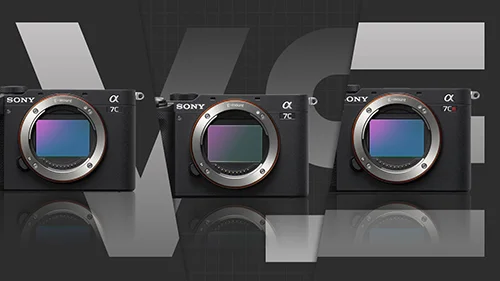 Color Fidelity - Sony A7C Profile скачать