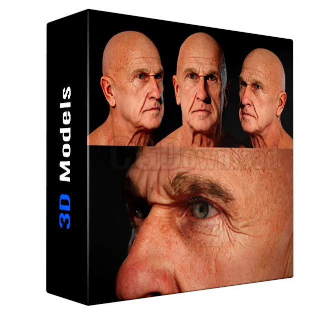 Animation Ready Body Scan / Male 05