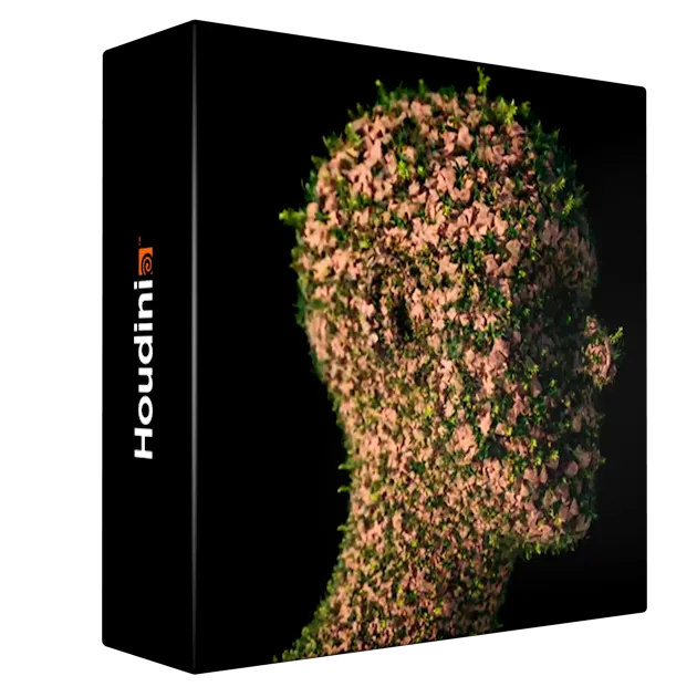 The VFX School - Houdini Training Collection
