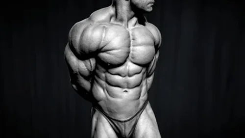 Advance Zbrush Bodybuilder Anatomy Tutorial Vol. 2 скачать