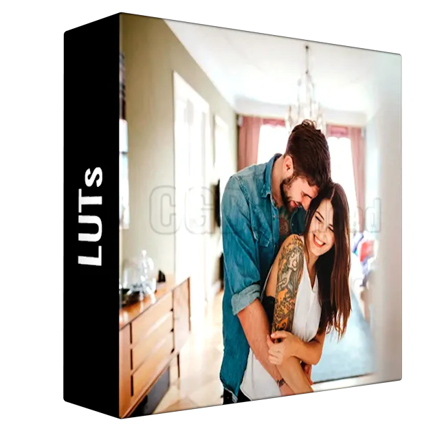 SOULMATE PRESETS BUNDLE