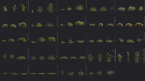 Maxtree - Plant Models Vol.180 скачать