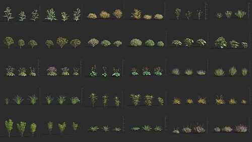 Maxtree - Plant Models Vol.61
