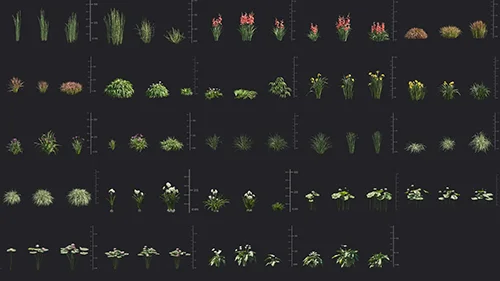 Maxtree - Plant Models Vol.69 скачать