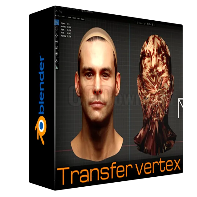 Transfer Vertex Order