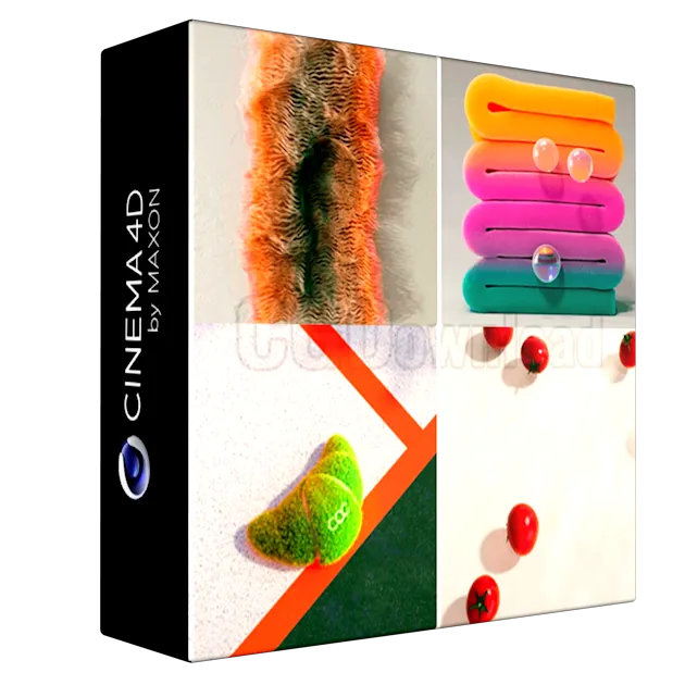 Cinema 4D Simulation Basic 