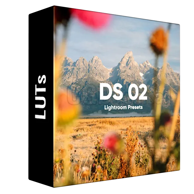DS PRESETS 02
