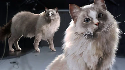 The Gnomon Workshop – Creating Creature Hair & Fur Grooms in Houdini скачать