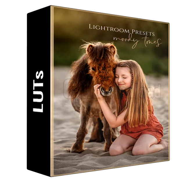 Marion Flemming - Moody Tones Presets