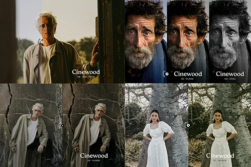 Presetrain - Cinewood Presets скачать