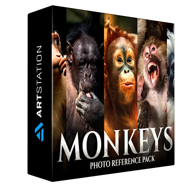Monkeys vol.1 - Reference Photo Pack For Artists 159 JPEGs noAI