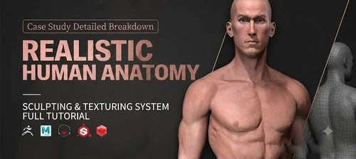 ZB Sculpting – SP Textures Realistic Human Anatomy Workflow скачать