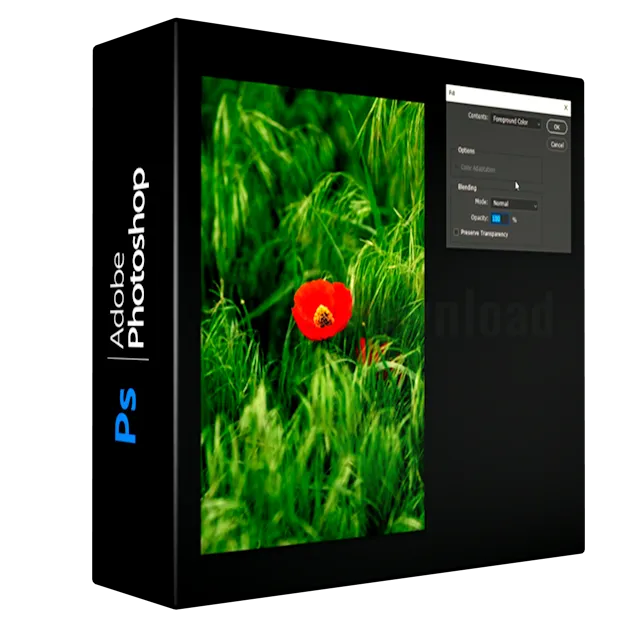 Adobe Photoshop Essentials for Beginners