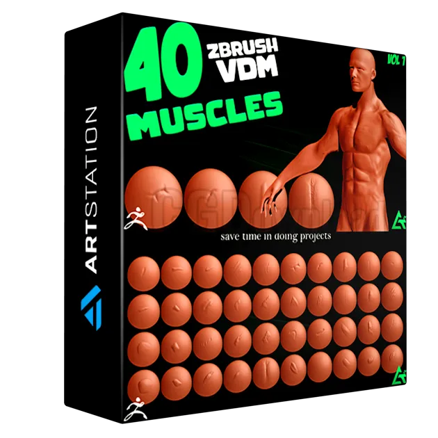 40 Real Muscles VDM Brush