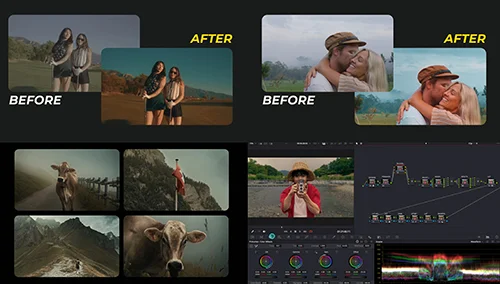 Master Blend PowerGrade V2 + 13 Lookbook LUTS + bonuses скачать