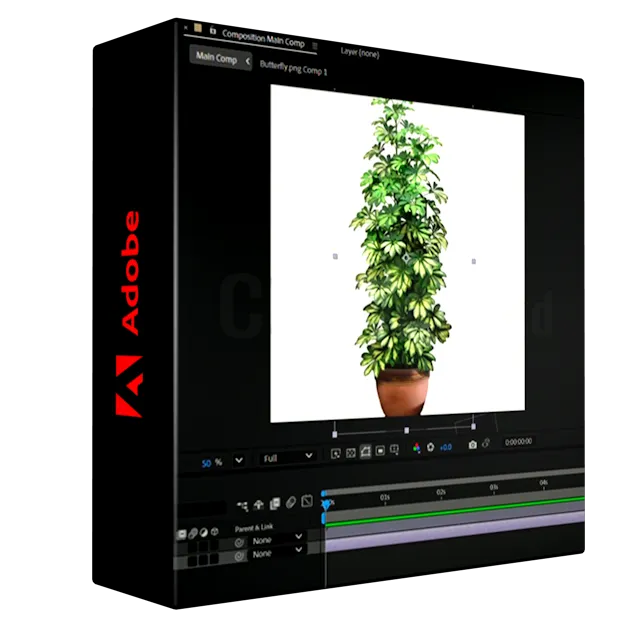 Video Editing Masterclass for Content Creation