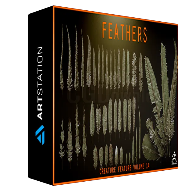 FEATHERS - 40 High poly sculpts and IMM Brush