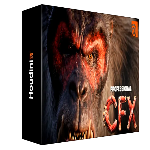Professional CFX Workflows in Houdini