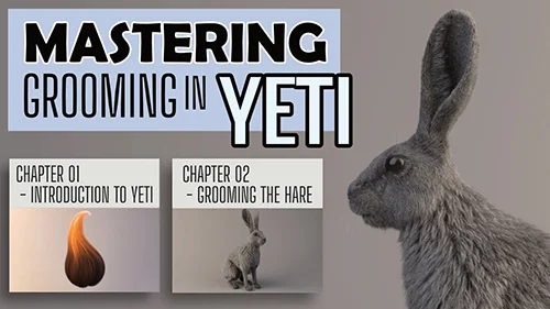 AVASCOT - Mastering Grooming in YETI скачать