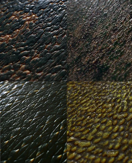 Creature Texture and Skin Brushes Pack скачать