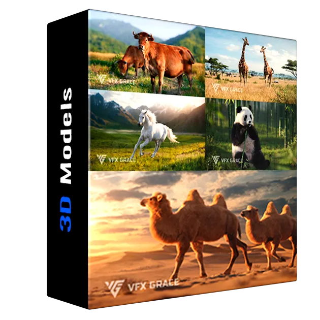 Vfx Grace 3D-Models Bundle